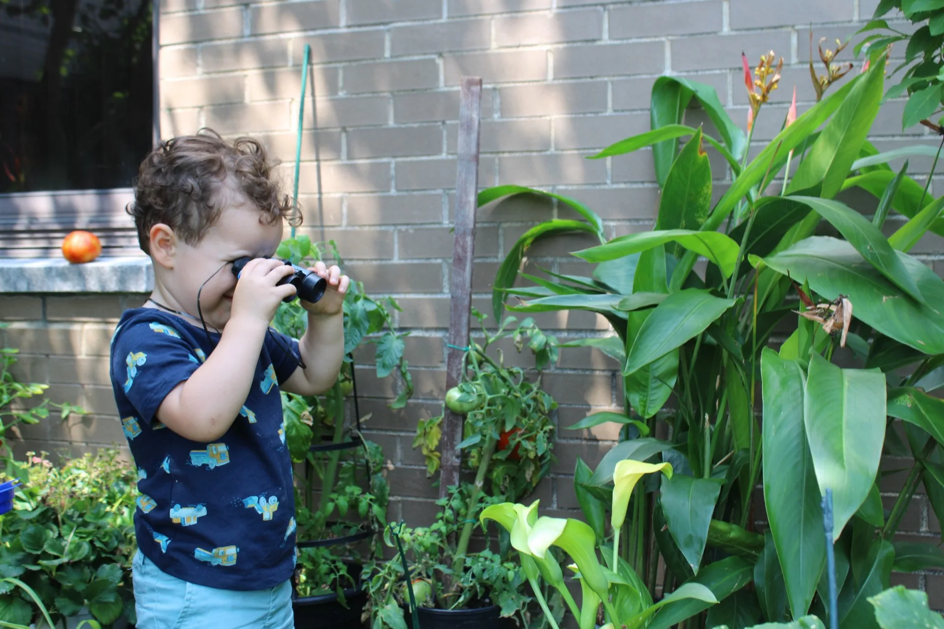 A SELA toddler peers through binoculars among tall garden plants on a bright morning.